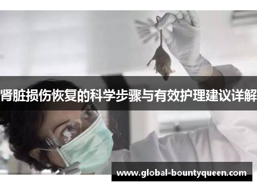 肾脏损伤恢复的科学步骤与有效护理建议详解