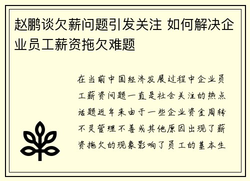 赵鹏谈欠薪问题引发关注 如何解决企业员工薪资拖欠难题
