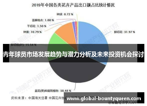 青年球员市场发展趋势与潜力分析及未来投资机会探讨
