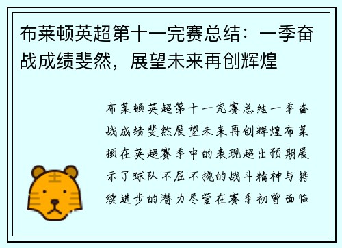 布莱顿英超第十一完赛总结:一季奋战成绩斐然,展望未来再创辉煌 布莱顿英超第十一完赛总结:一季奋战成绩斐然,展望未来再创辉煌